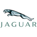 Jaguar Logo